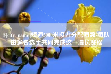 楚雄短道5000米接力分配圈数-每队由多名选手共同完成这一漫长赛程