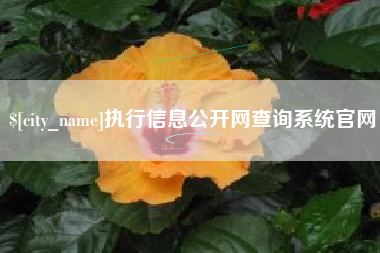 楚雄执行信息公开网查询系统官网