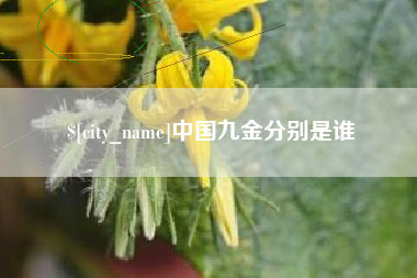 楚雄中国九金分别是谁