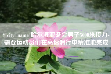 楚雄哈尔滨亚冬会男子5000米接力-需要运动员们在高速滑行中精准地完成