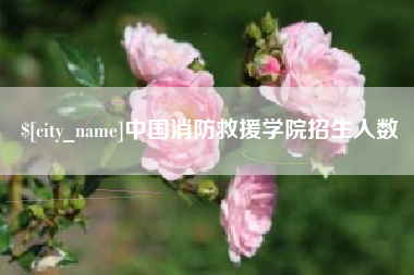 楚雄中国消防救援学院招生人数