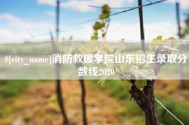 楚雄消防救援学院山东招生录取分数线2020