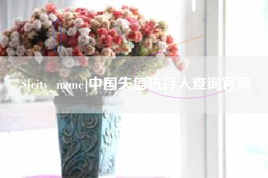 楚雄中国失信执行人查询官网