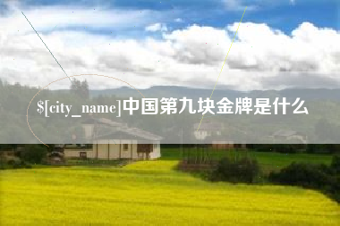 楚雄中国第九块金牌是什么