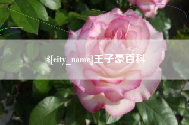 楚雄王子豪百科