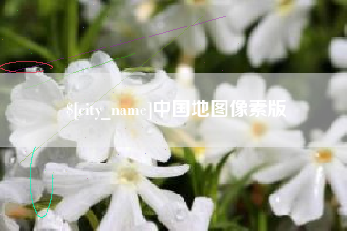 楚雄中国地图像素版
