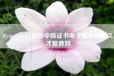 楚雄消防中级证书电子版查询多久才能查到