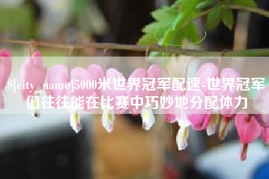 楚雄5000米世界冠军配速-世界冠军们往往能在比赛中巧妙地分配体力