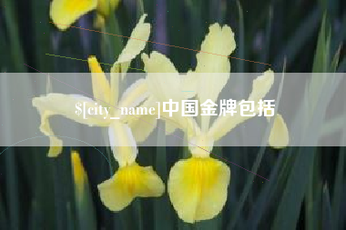楚雄中国金牌包括