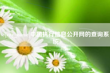 楚雄中国执行信息公开网的查询系统