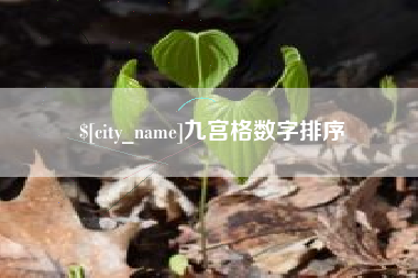 楚雄九宫格数字排序