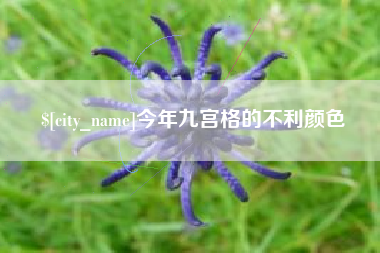 楚雄今年九宫格的不利颜色