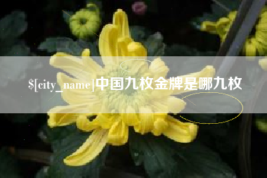 楚雄中国九枚金牌是哪九枚