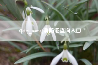 楚雄消防证查询入口