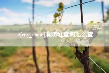 楚雄消防证查询怎么查