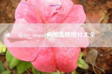 楚雄中国金牌图片大全