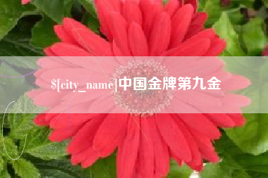 楚雄中国金牌第九金
