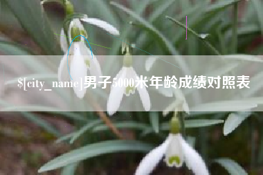 楚雄男子5000米年龄成绩对照表