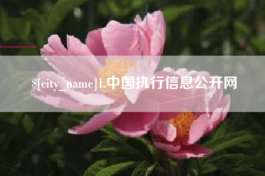 楚雄1.中国执行信息公开网