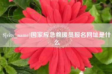楚雄国家应急救援员报名网址是什么