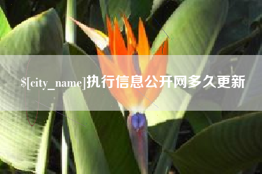 楚雄执行信息公开网多久更新