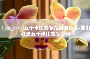 楚雄五千米比赛领跑员是什么-他们就是五千米比赛领跑员