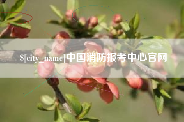 楚雄中国消防报考中心官网