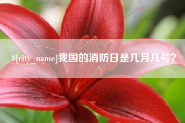 楚雄我国的消防日是几月几号？