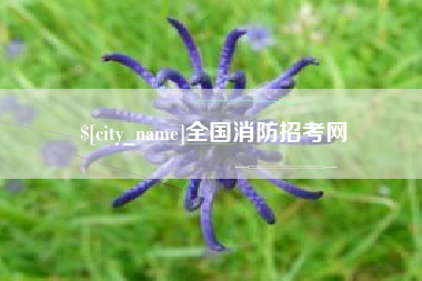 楚雄全国消防招考网