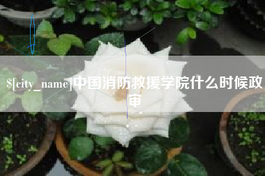 楚雄中国消防救援学院什么时候政审