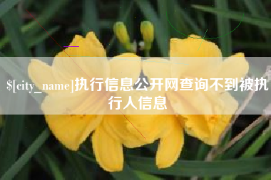 楚雄执行信息公开网查询不到被执行人信息