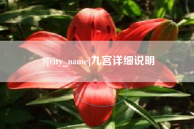 楚雄九宫详细说明