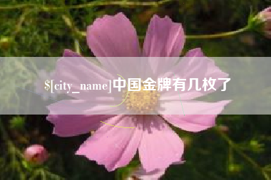 楚雄中国金牌有几枚了
