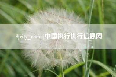 楚雄中国执行执行信息网
