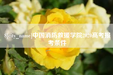 楚雄中国消防救援学院2020高考报考条件