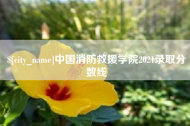 楚雄中国消防救援学院2021录取分数线