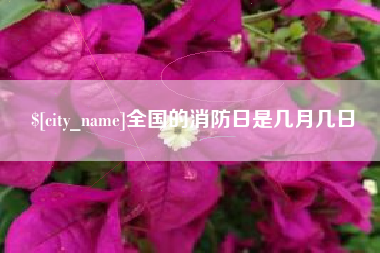 楚雄全国的消防日是几月几日