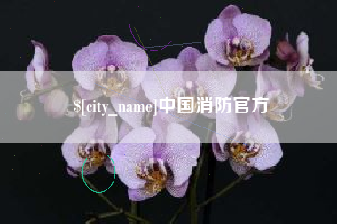 楚雄中国消防官方