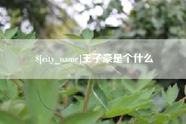 楚雄王子豪是个什么