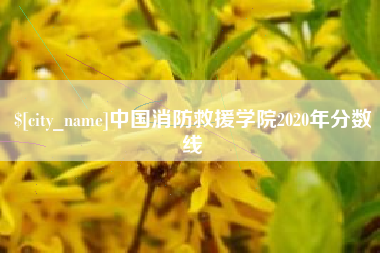 楚雄中国消防救援学院2020年分数线