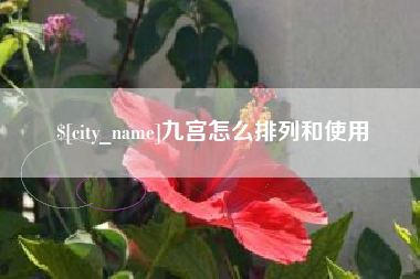 楚雄九宫怎么排列和使用