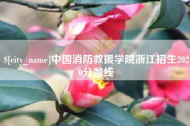 楚雄中国消防救援学院浙江招生2020分数线