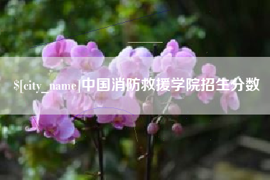 楚雄中国消防救援学院招生分数
