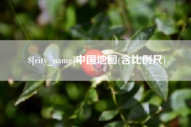 楚雄中国地图(含比例尺)