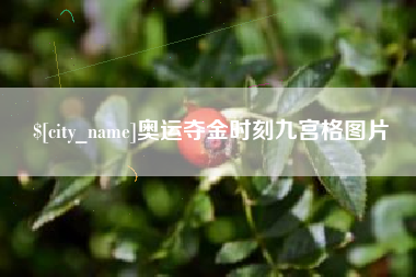 楚雄奥运夺金时刻九宫格图片