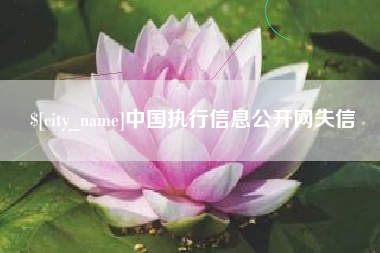 楚雄中国执行信息公开网失信