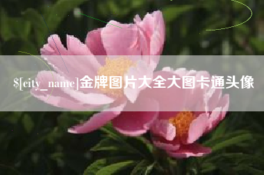楚雄金牌图片大全大图卡通头像