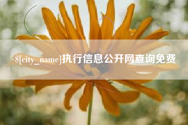 楚雄执行信息公开网查询免费