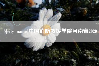 楚雄中国消防救援学院河南省2020